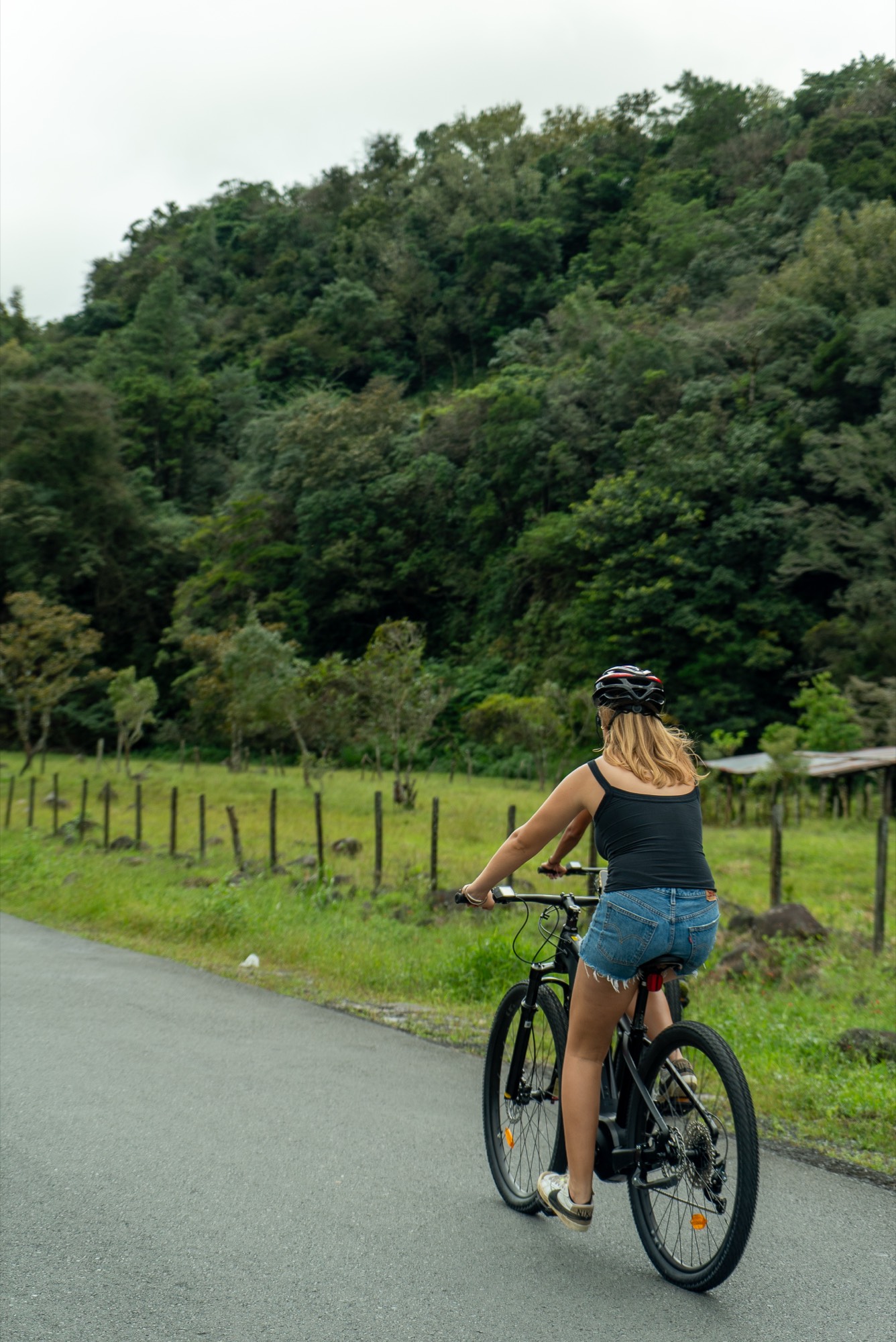 Regular Bike Rental
